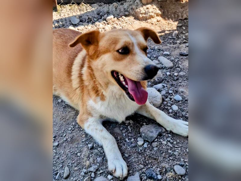 Stratos hatte noch nie ein Zuhause