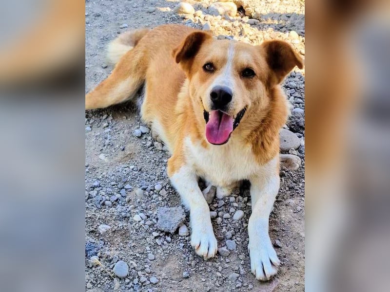 Stratos hatte noch nie ein Zuhause