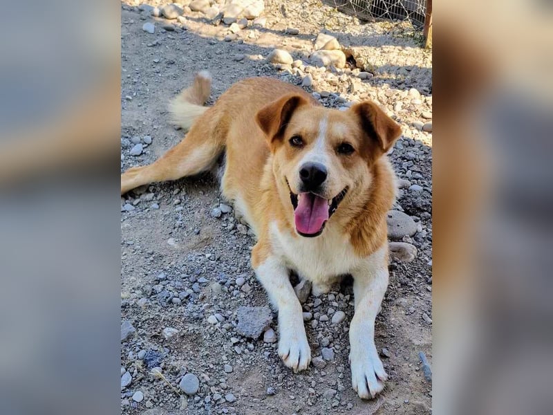 Stratos hatte noch nie ein Zuhause