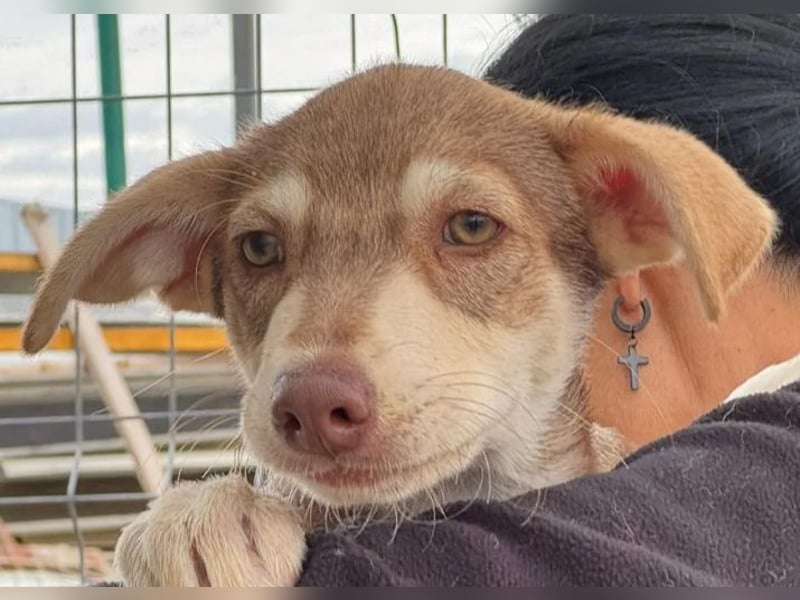 Mutter und Tochter suchen gemeinsames Zuhause 