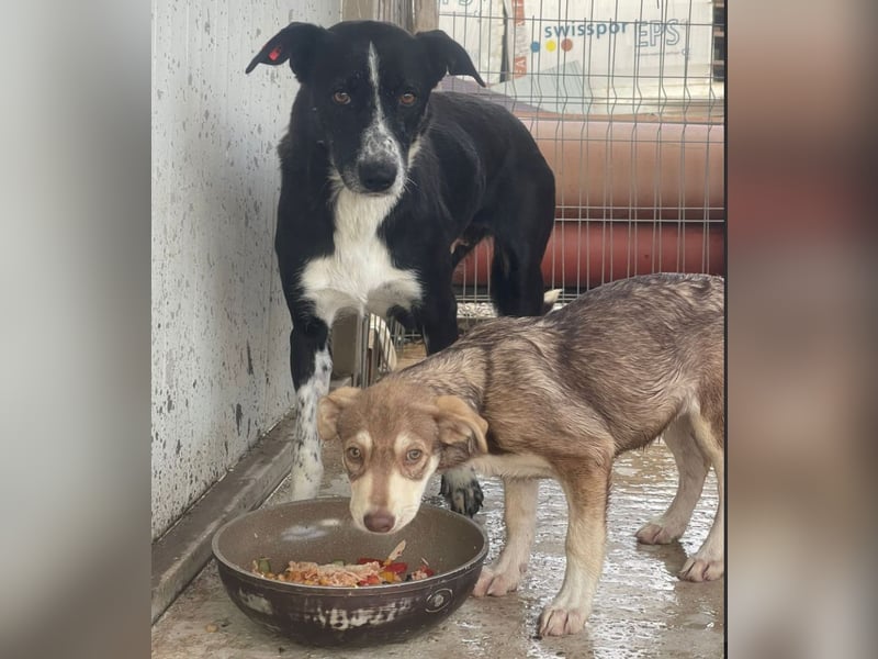 Mutter und Tochter suchen gemeinsames Zuhause 