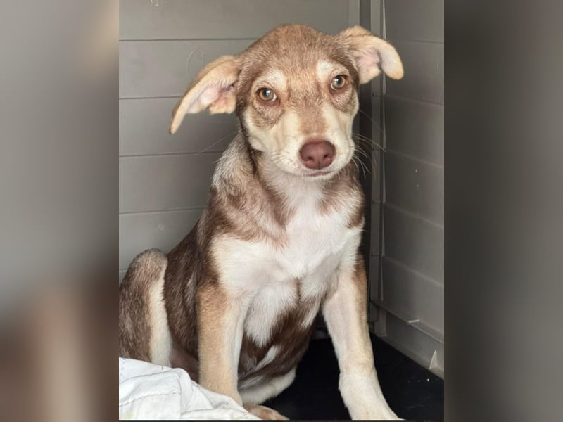 Mutter und Tochter suchen gemeinsames Zuhause 