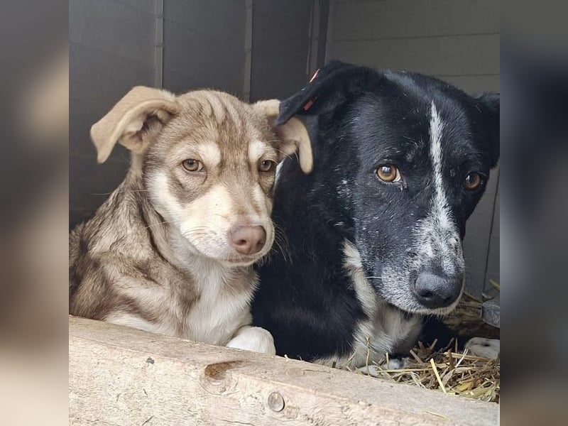 Mutter und Tochter suchen gemeinsames Zuhause 