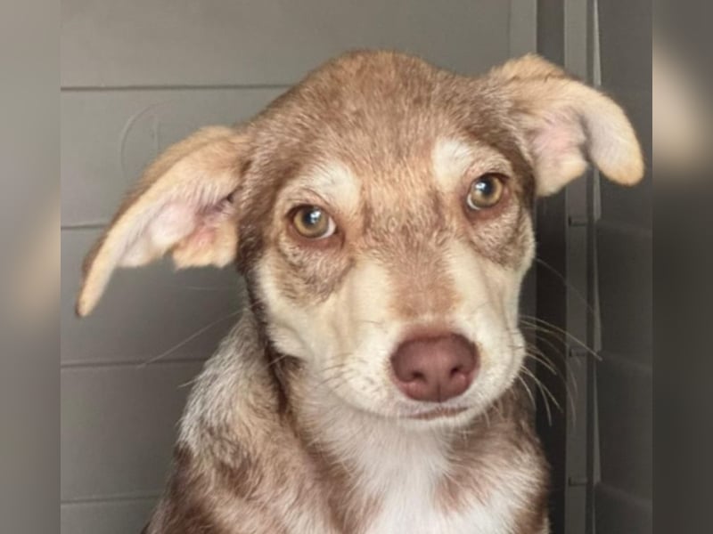 Mutter und Tochter suchen gemeinsames Zuhause 