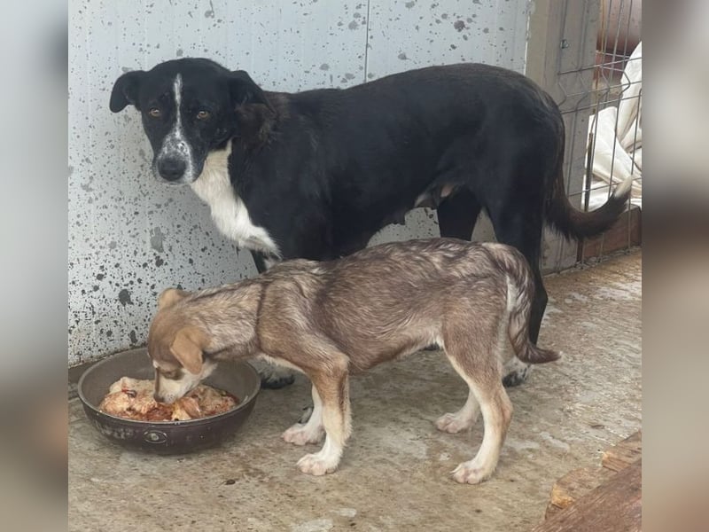 Mutter und Tochter suchen gemeinsames Zuhause 