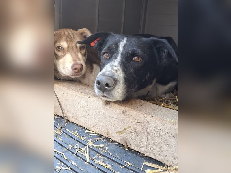 Mutter und Tochter suchen gemeinsames Zuhause 