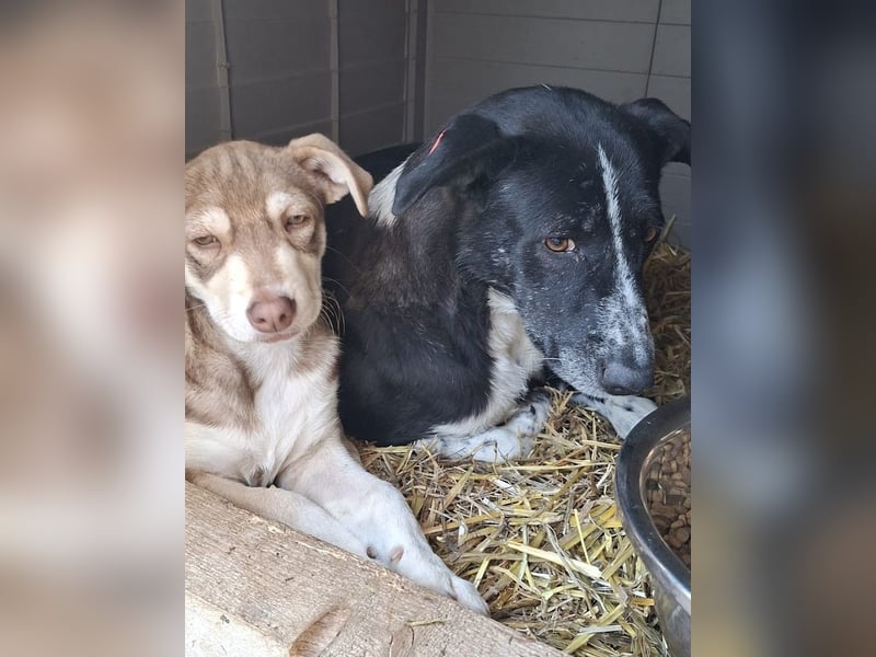 Mutter und Tochter suchen gemeinsames Zuhause 