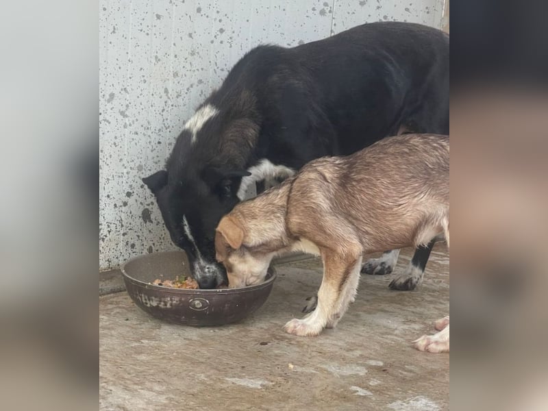 Mutter und Tochter suchen gemeinsames Zuhause 