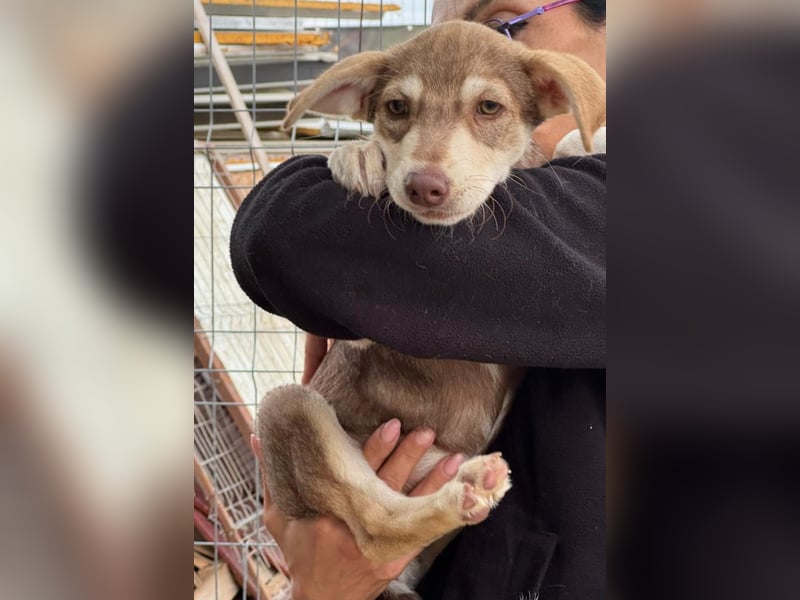 Mutter und Tochter suchen gemeinsames Zuhause 