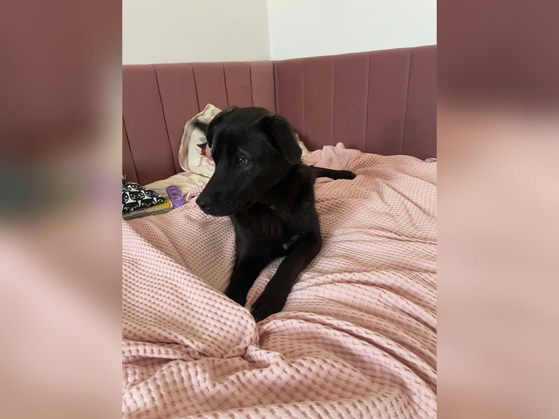 Yana, zarte Schönheit sucht ihre Menschen