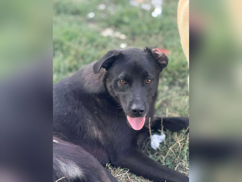 Yana, zarte Schönheit sucht ihre Menschen