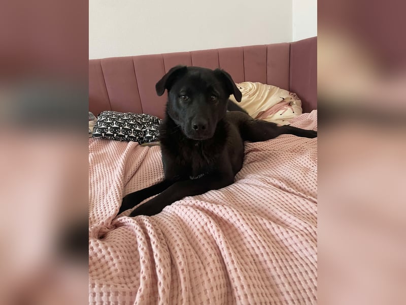 Yana, zarte Schönheit sucht ihre Menschen