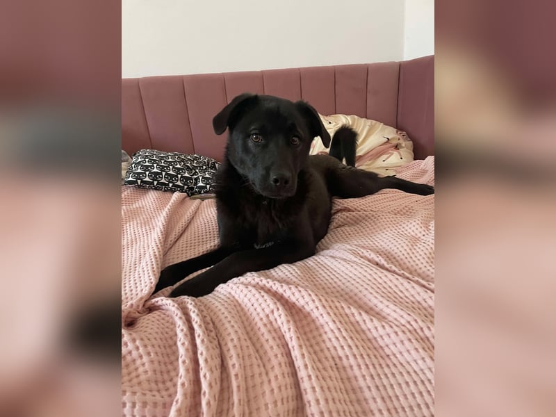 Yana, zarte Schönheit sucht ihre Menschen