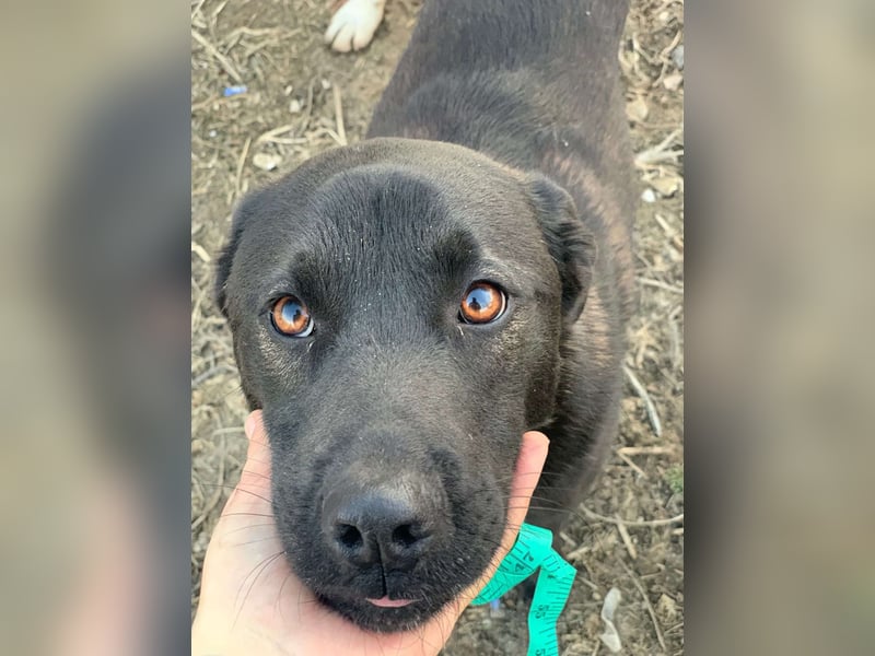 Yana, zarte Schönheit sucht ihre Menschen