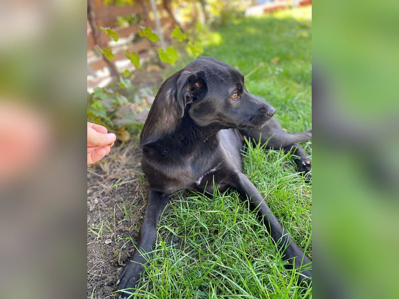 Yana, zarte Schönheit sucht ihre Menschen