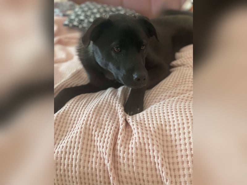 Yana, zarte Schönheit sucht ihre Menschen