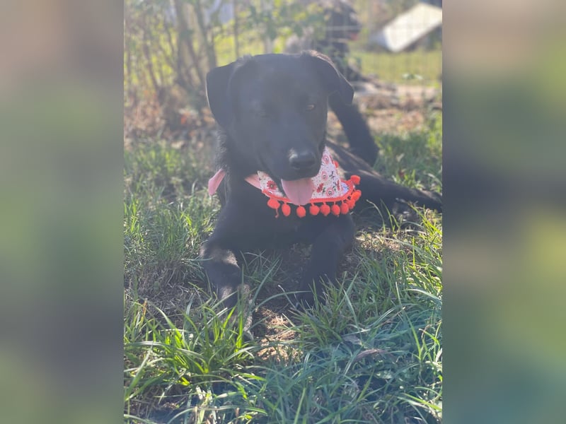 Yana, zarte Schönheit sucht ihre Menschen