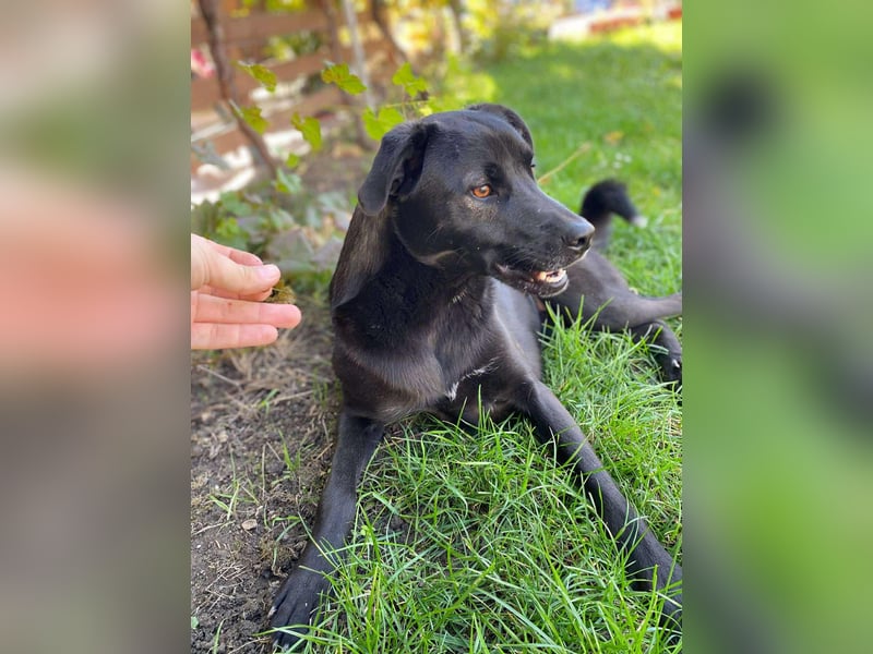 Yana, zarte Schönheit sucht ihre Menschen