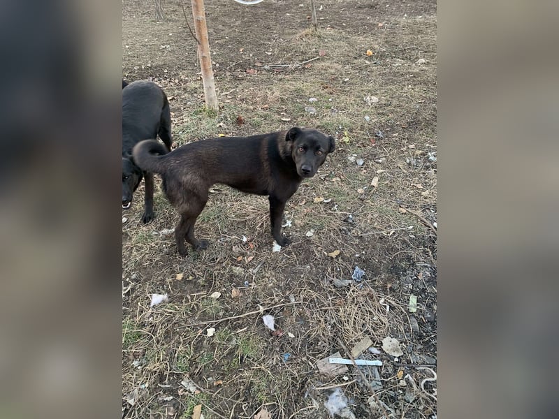 Yana, zarte Schönheit sucht ihre Menschen