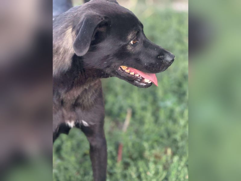 Yana, zarte Schönheit sucht ihre Menschen