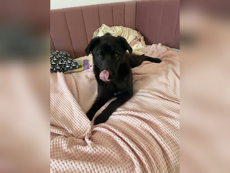 Yana, zarte Schönheit sucht ihre Menschen