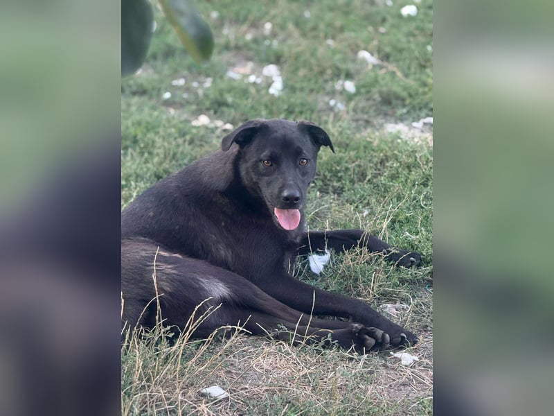 Yana, zarte Schönheit sucht ihre Menschen