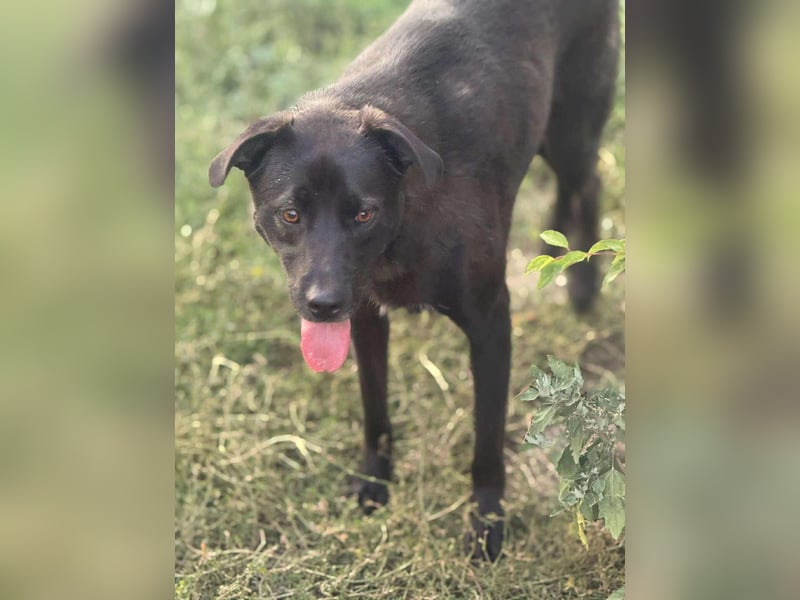 Yana, zarte Schönheit sucht ihre Menschen