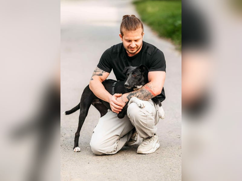 Liebevolle Stella sucht ihre Menschen