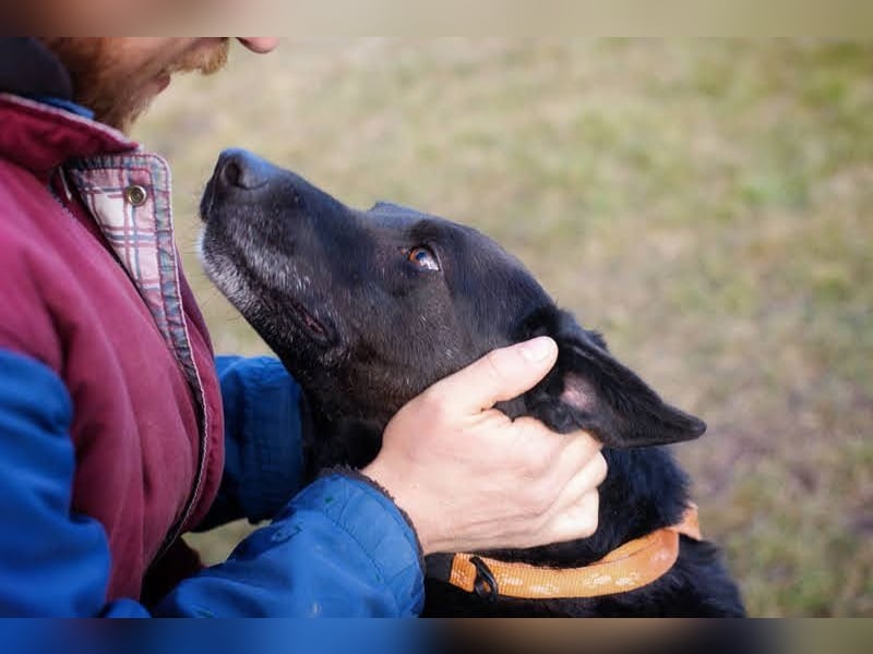 GONZA - fröhlicher, hübscher Rüde sucht unternehmungslustige Menschen