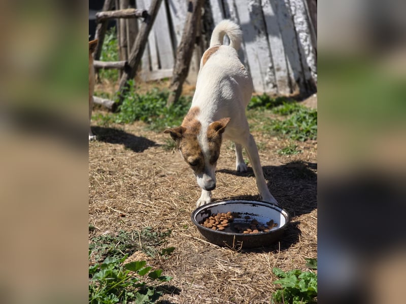 RILEY - sucht ihre große Chance in ein besseres Leben RILEY - sucht ihre große Chance in ein besseres Leben