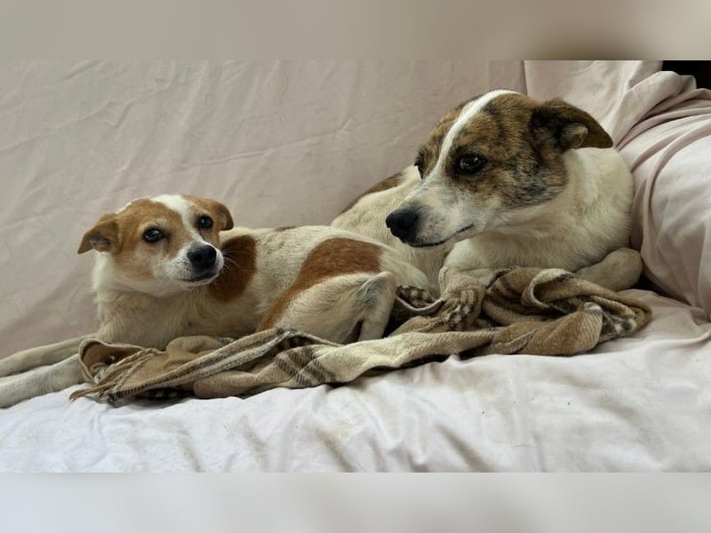 RILEY - sucht ihre große Chance in ein besseres Leben RILEY - sucht ihre große Chance in ein besseres Leben