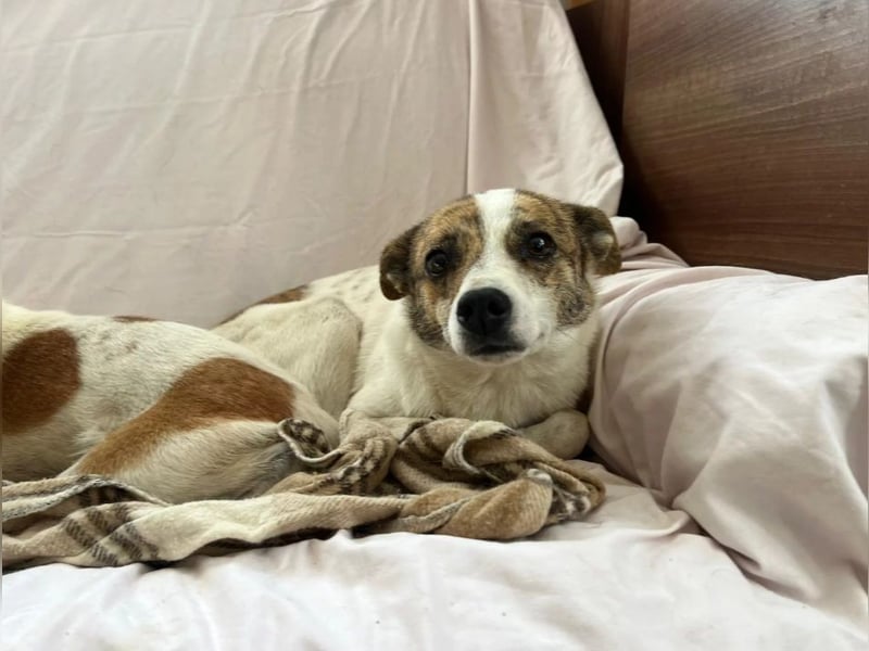RILEY - sucht ihre große Chance in ein besseres Leben RILEY - sucht ihre große Chance in ein besseres Leben