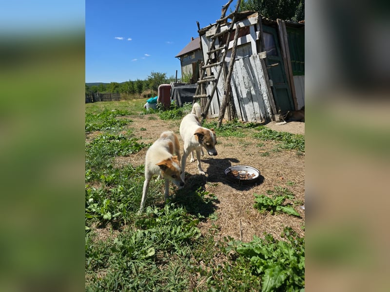 RILEY - sucht ihre große Chance in ein besseres Leben RILEY - sucht ihre große Chance in ein besseres Leben