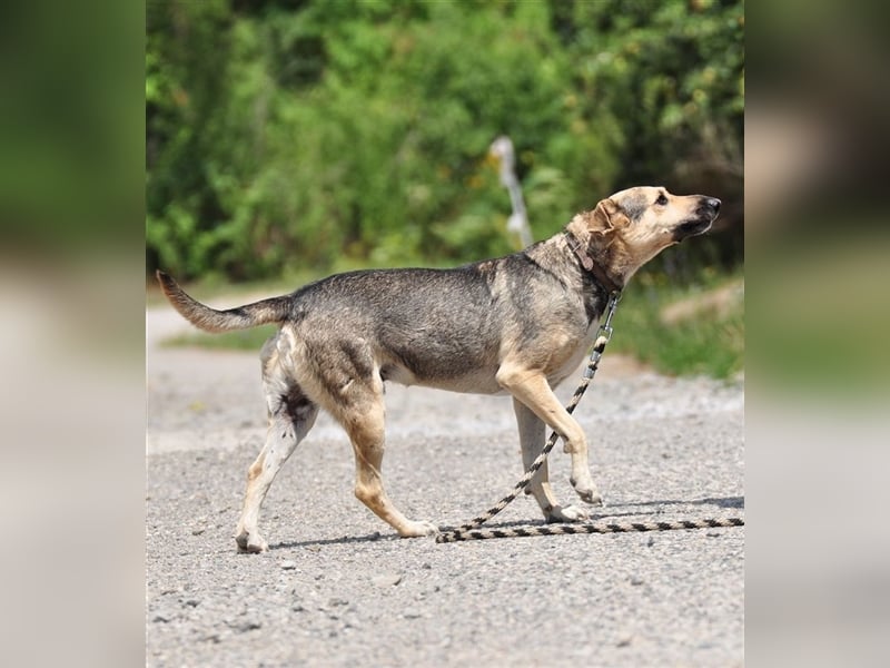 Hant sucht liebevolle, geduldige Menschen