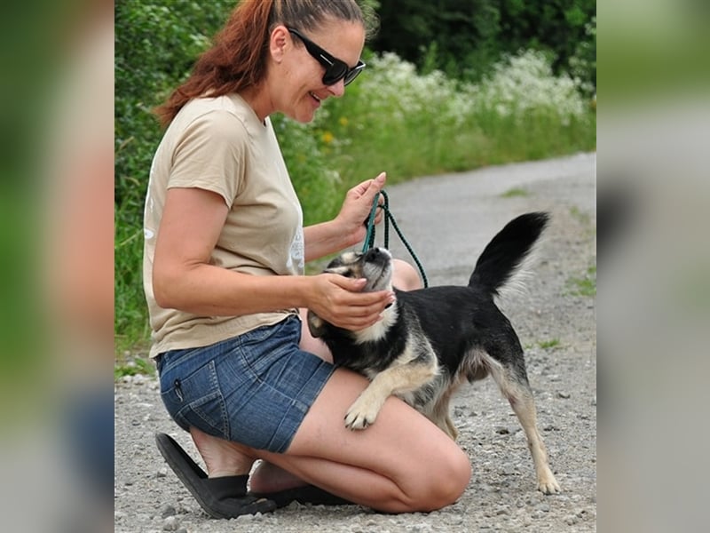 Bojar S240 freundet sich sofort mit jedem an Bojar S240 freundet sich sofort mit jedem an