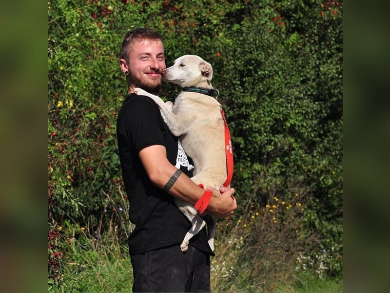 Lu ist eine zarte, sensible Hündin