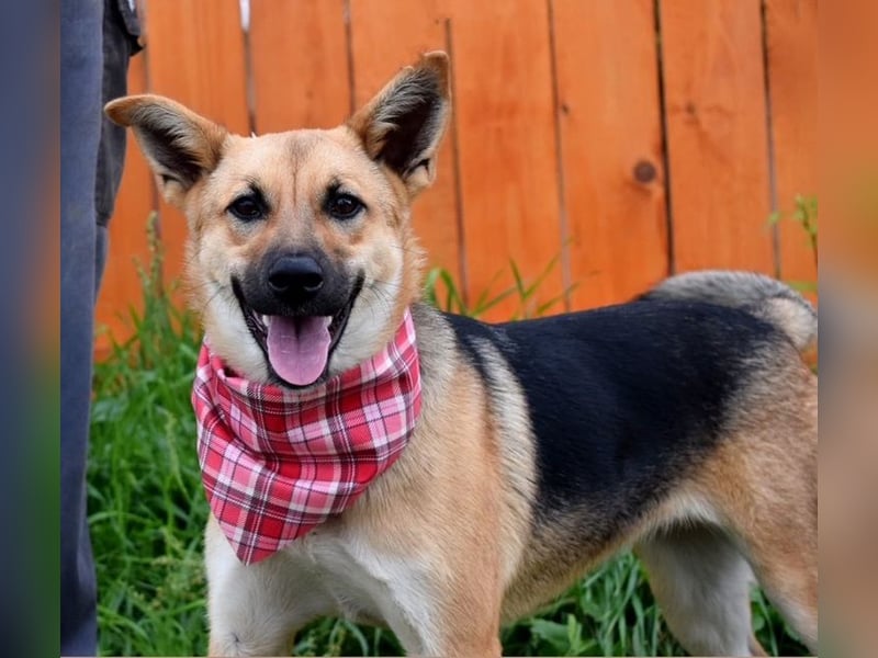 Bahari ist eine gute Laune Hündin Bahari ist eine gute Laune Hündin