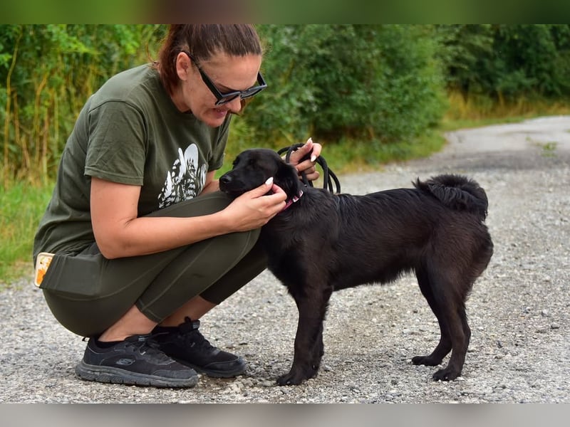 Kika S279 ist äußerst menschenbezogen