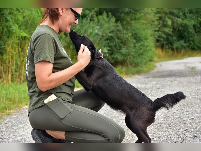 Kika S279 ist äußerst menschenbezogen