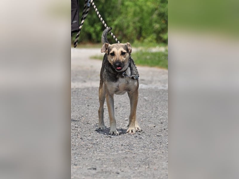 Hant sucht liebevolle, geduldige Menschen