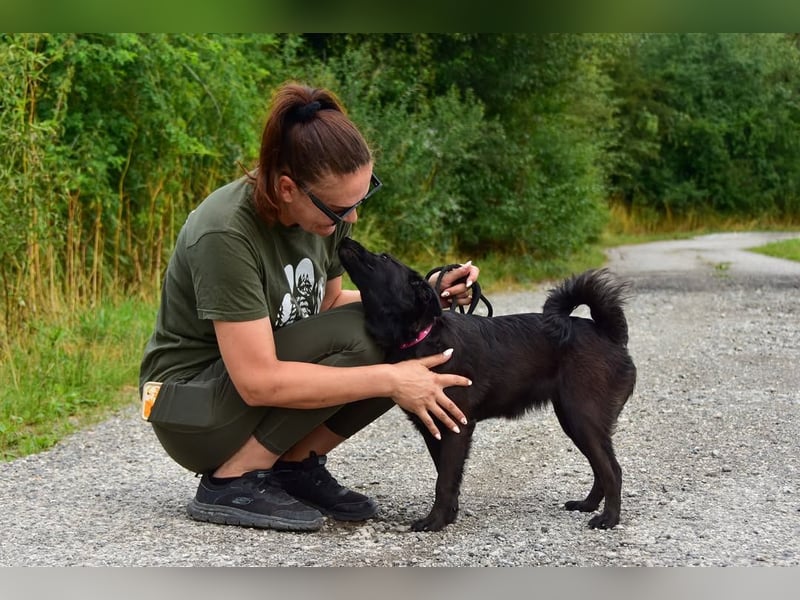 Kika S279 ist äußerst menschenbezogen