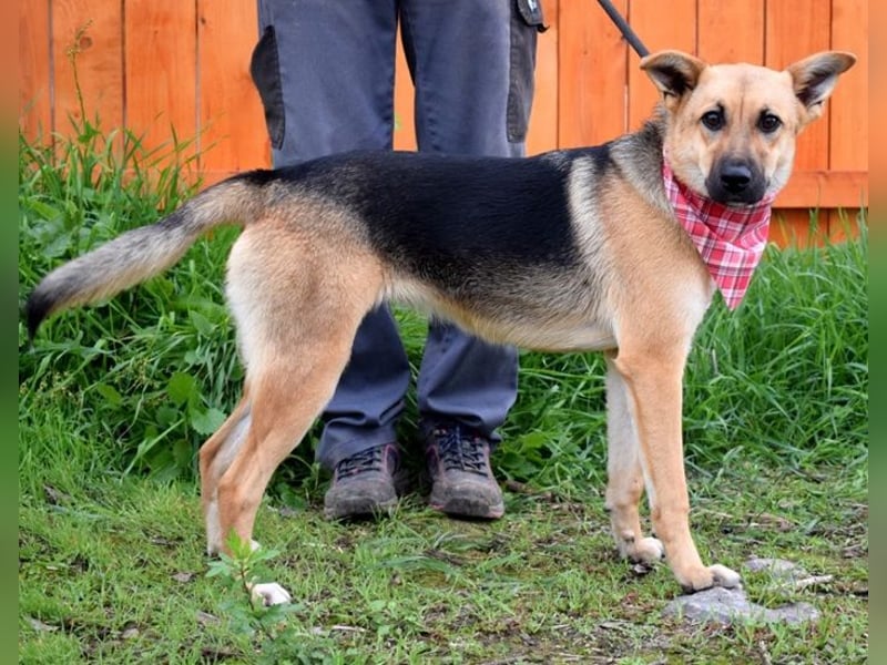 Bahari ist eine gute Laune Hündin Bahari ist eine gute Laune Hündin