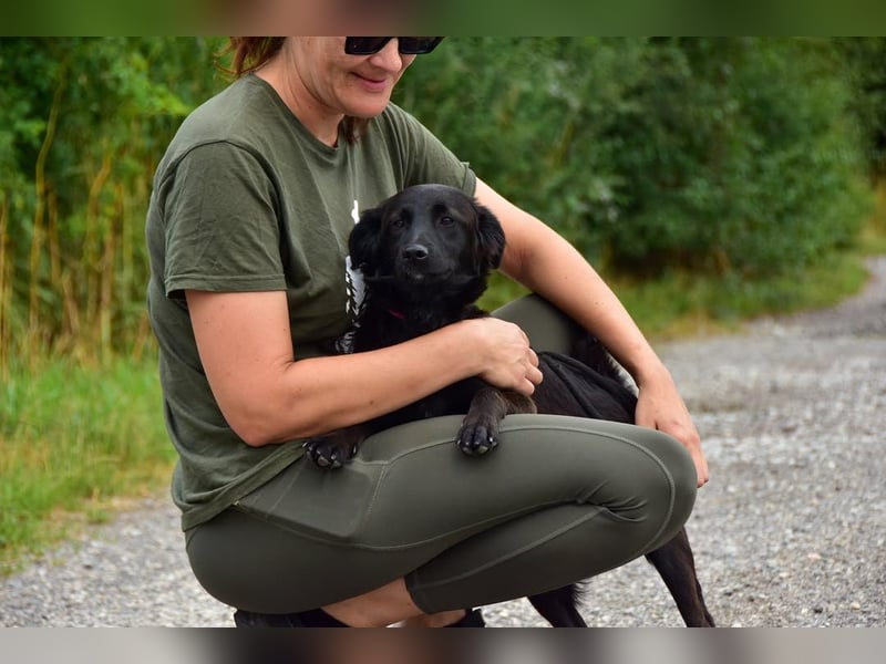 Kika S279 ist äußerst menschenbezogen