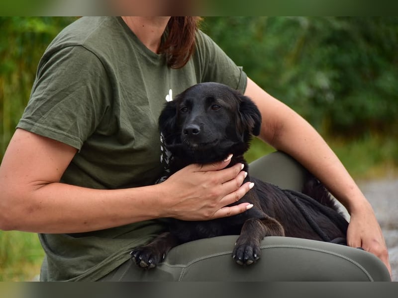 Kika S279 ist äußerst menschenbezogen