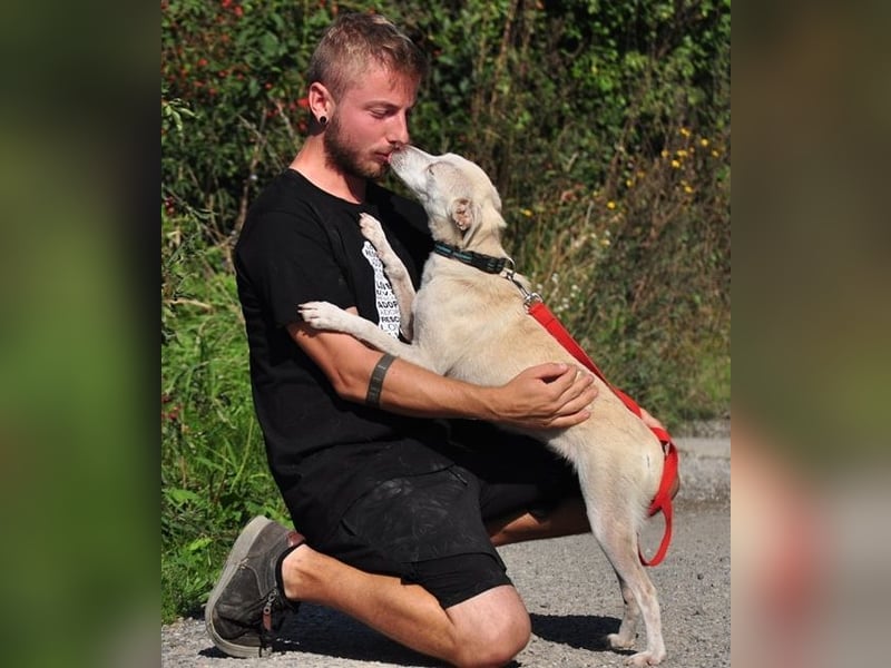 Lu ist eine zarte, sensible Hündin