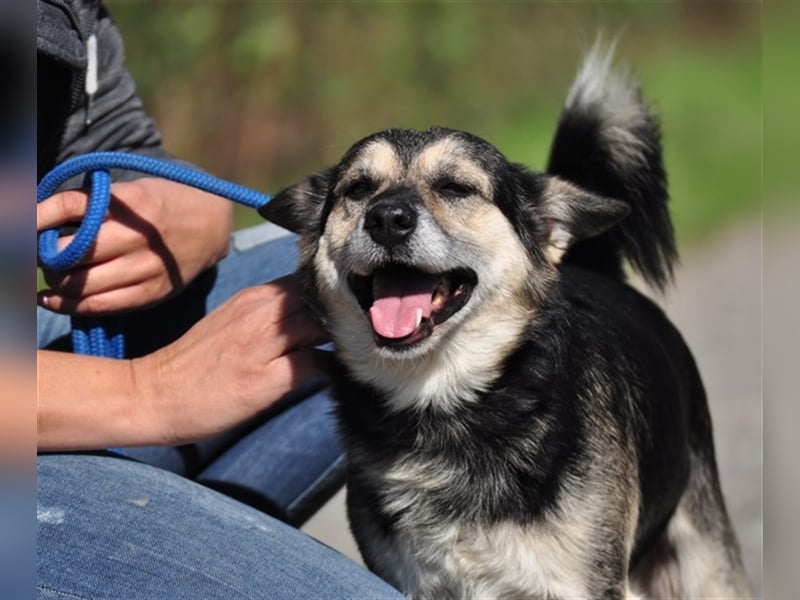 Bojar S240 freundet sich sofort mit jedem an Bojar S240 freundet sich sofort mit jedem an