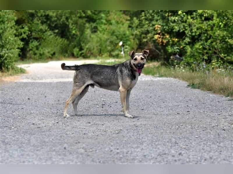 Hant sucht liebevolle, geduldige Menschen