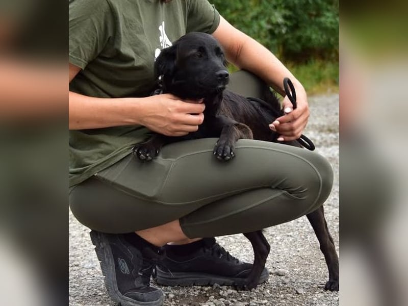 Kika S279 ist äußerst menschenbezogen