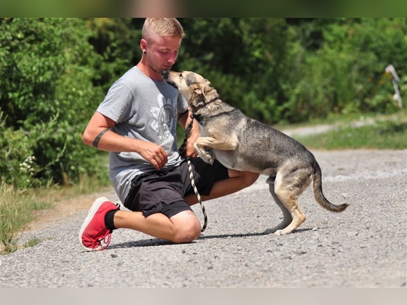 Hant sucht liebevolle, geduldige Menschen