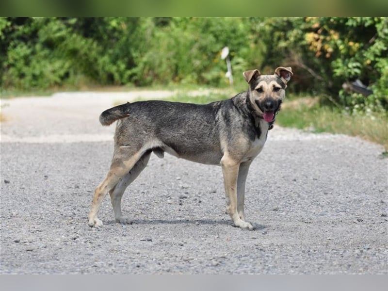 Hant sucht liebevolle, geduldige Menschen